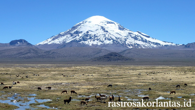 Eksplorasi Lengkap Taman Nasional Sajama di Bolivia